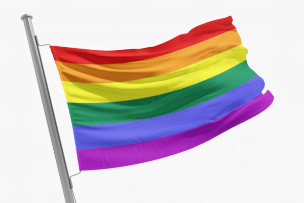 Drapeau LGBT Arc-en-Ciel