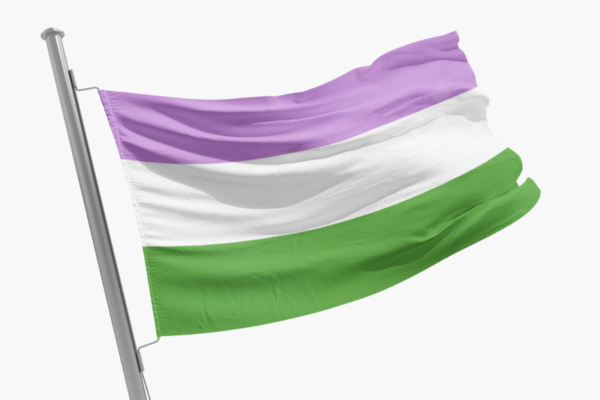 drapeau genderqueer