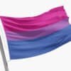 Drapeau Bisexuel