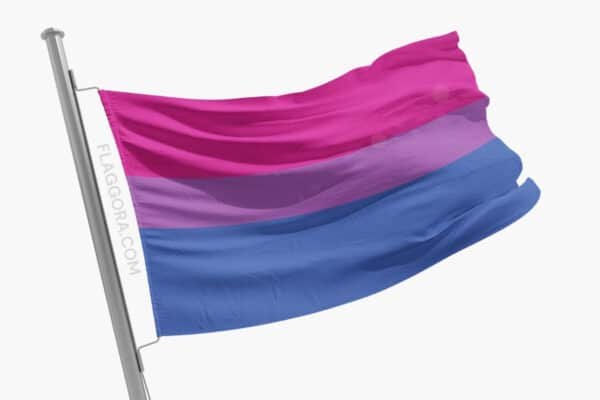 Drapeau Bisexuel