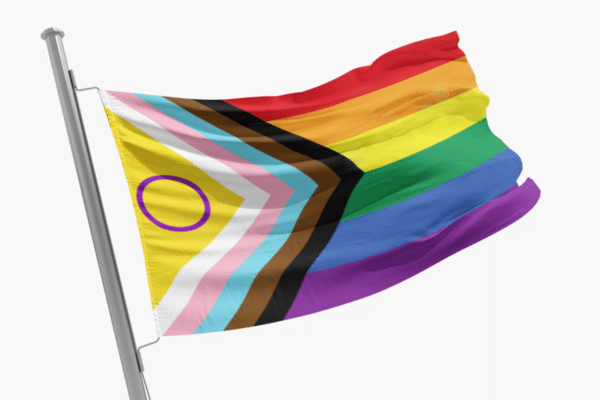 Drapeau Intersex Progress Pride