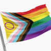 Drapeau Intersex Progress Pride