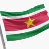 Drapeau Suriname