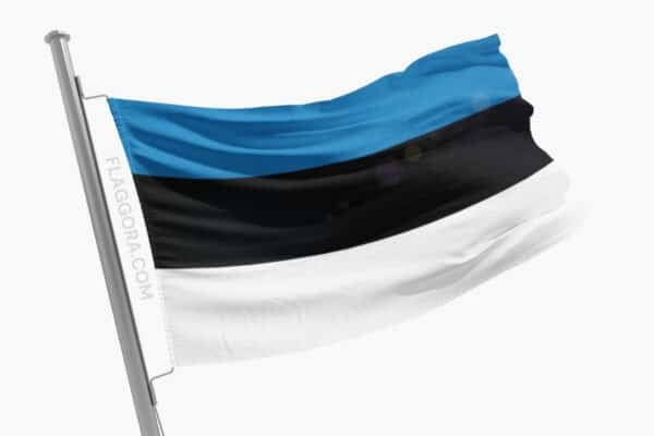 Drapeau Estonie